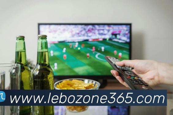 乐博体育平台生态图